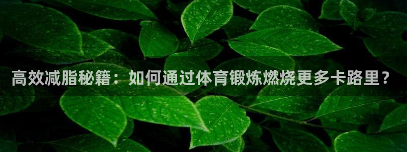 so米下载