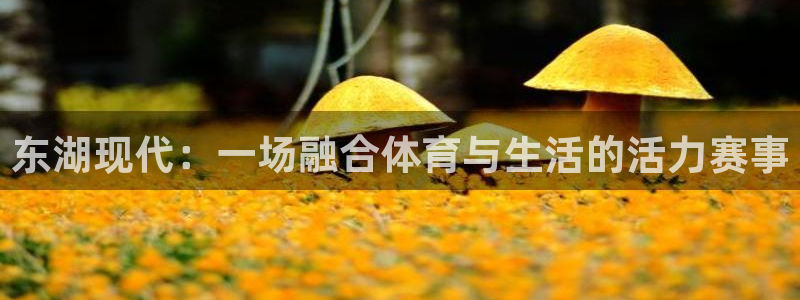 sO米直播洪七公直播蓝球