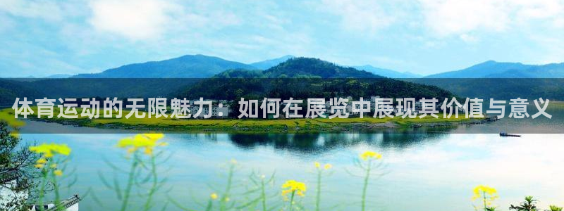 so米体育网页版