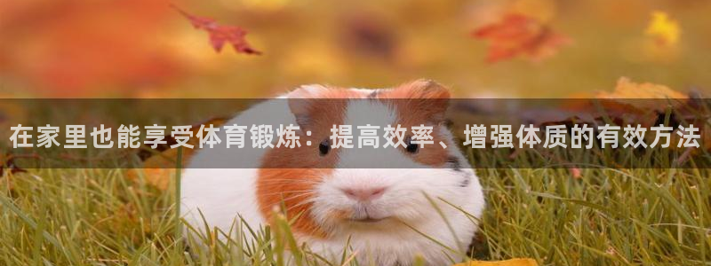 so米体育