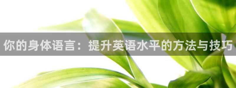 so米足球直播在线观看直播：你的身体语言：提升英语水平的方法与技巧