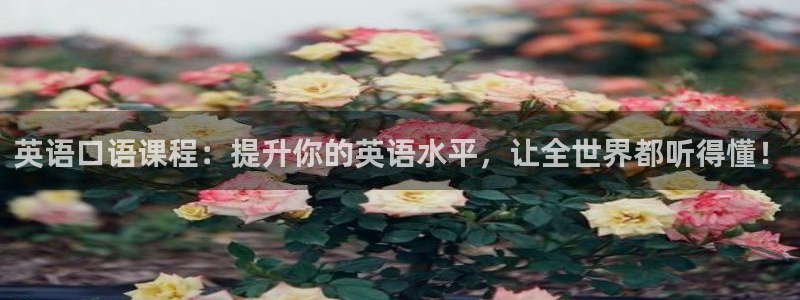 so米体肓：英语口语课程：提升你的英语水平，让全世界都听得懂！