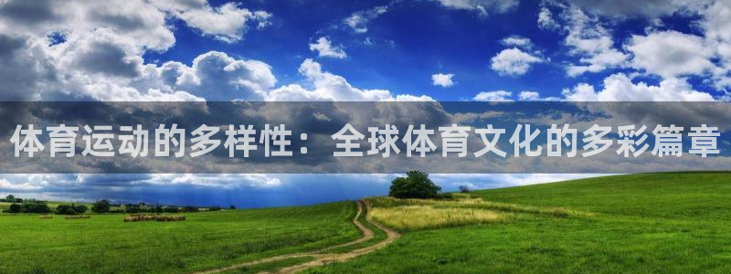 so米篮球直播：体育运动的多样性：全球体育文化的多彩篇章